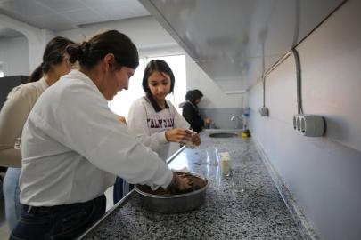 Eyyübiyeli Kadınlar SEECO Projesi ile Ekonomik ve Sosyal Hayatta Güçleniyor