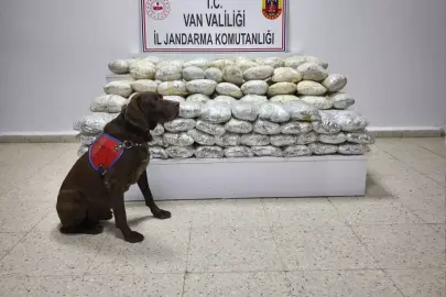 Başkale'de 60 Kilogram Uyuşturucu Ele Ge geçirildi