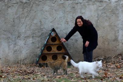 Tuşba Belediyesi’nden Sokak Kedileri İçin Kış Önlemi