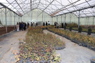 Van YYÜ öğrencileri, Edremit Belediyesi serasını ziyaret etti