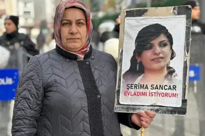 Van'da Ailelerin Umut Yürüyüşü Devam Ediyor