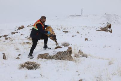 Başkale Belediyesi Yaban Hayatını Unutmadı