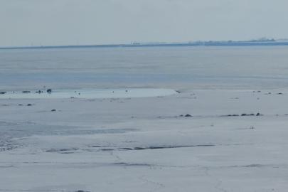 Kuş cenneti Arin Gölü kısmen dondu