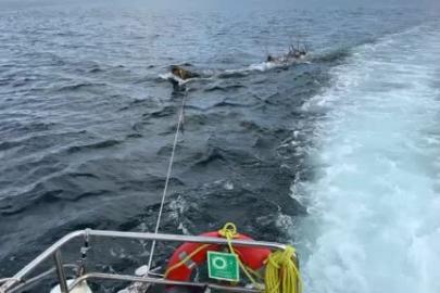 Marmara Denizi’nde feribot trafiği için tehlike oluşturan yüzen ağaç kıyıya çekildi