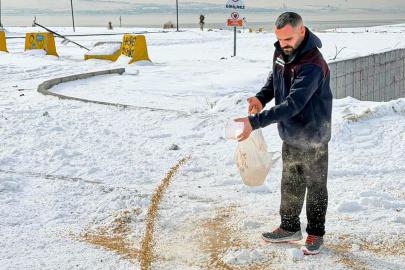 VAN BÜYÜKŞEHİR BELEDİYESİ YABAN HAYATINI UNUTMUYOR