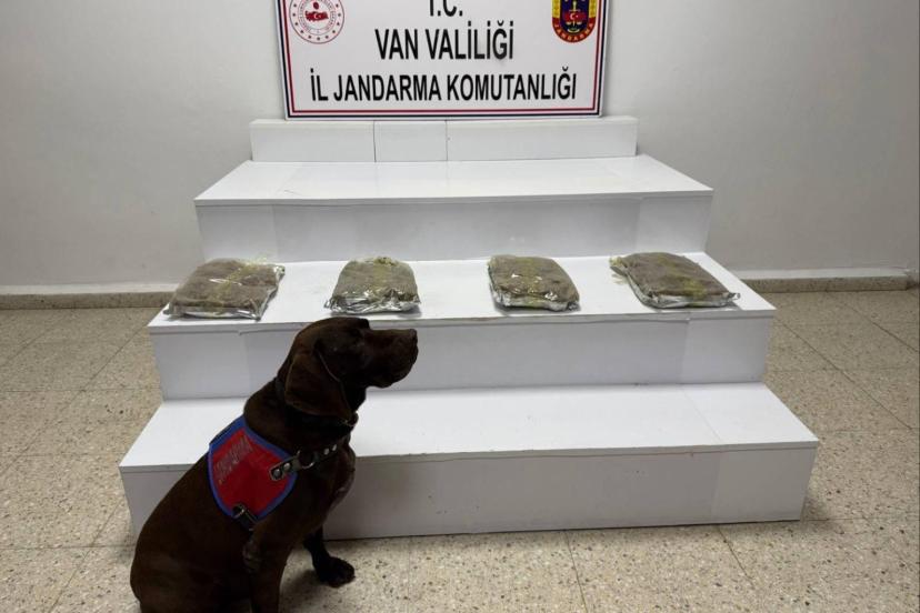 Van’da 5 bin 250 gram Kubar Esrar ele geçirildi