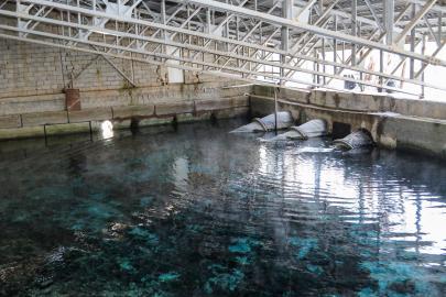 VAN’IN İÇME SUYU KAYNAĞINDA CİDDİ DÜŞÜŞ VAR