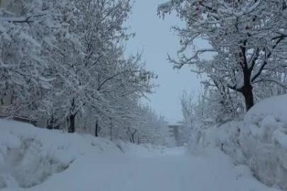 Bitlis’te kar yağışı: 165 köy yolu kapalı