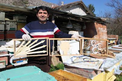 Bu seçimde kazananı 'arılar' belirleyecek