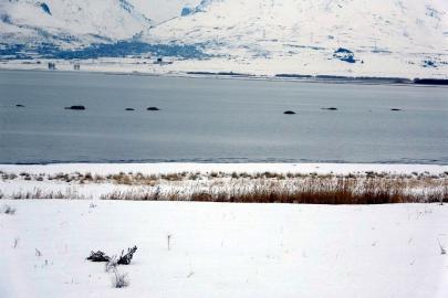 Flamingoların konaklandığı Van Gölü'nde geri çekilme ile birlikte adacıklar oluştu