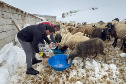 İlçe Tarım ve Orman Müdürlüğü ekipleri suların donduğu bölgedeki hayvanlara su götürdü