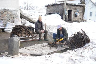 Muş'ta besicilerin asırlık geven otu geleneği sürüyor