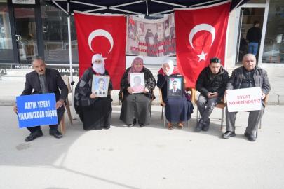 Muş'ta evlat nöbeti devam ediyor