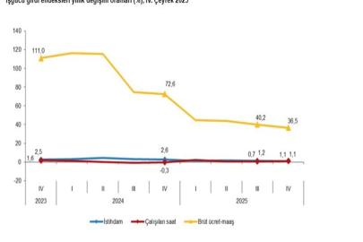 TÜİK: İstihdam endeksi 4'üncü çeyrekte yüzde 1,1 arttı