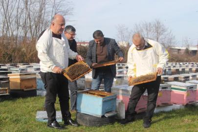 Türkiye'de en fazla bal üretiminin yapıldığı Ordu'da arıcılar sezona hazırlanıyor