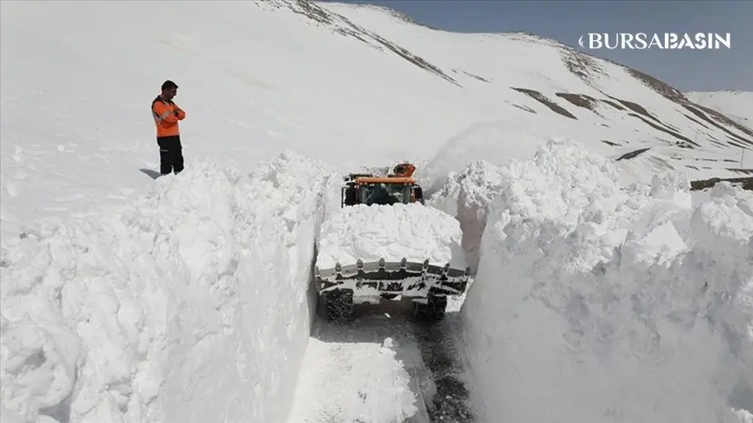 Türkiye'de en fazla kar kalınlığı Van'ın Karapet Tepesi'nde ölçüldü