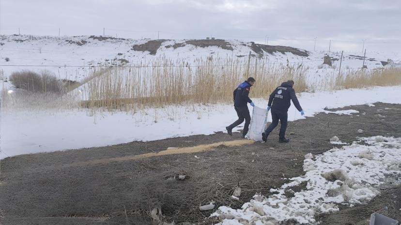 Van Büyükşehir Belediyesi’nden Erciş’te Yaban Hayatına Yem Desteği