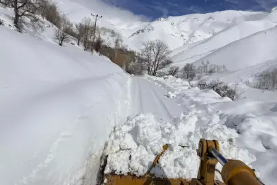 Van'da 106 yerleşim yerinin yolu ulaşıma kapandı