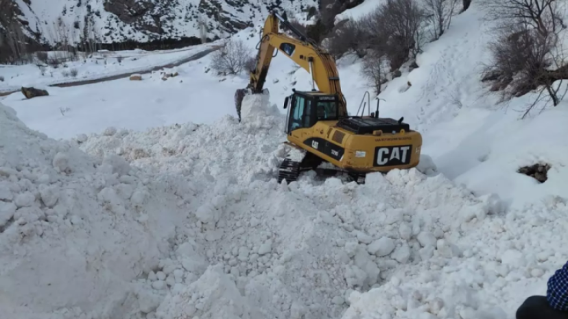 Van'da çığın kapattığı mezra yolunda zorlu mücadele
