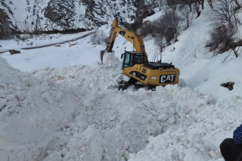 Van'da çığın kapattığı mezra yolunda zorlu mücadele