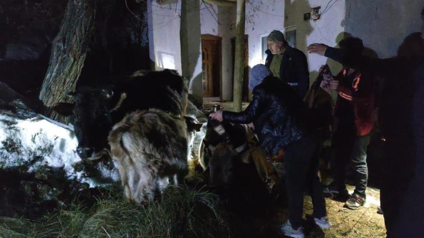 Van'da korkutan ahır yangını: 3 inek son anda kurtarıldı