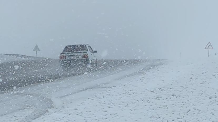 Van'da lapa lapa kar yağdı