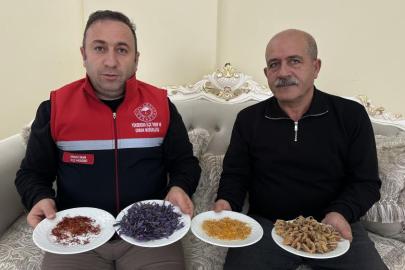 "Yapamazsın" diyenlere inat yetiştirdiği safran ve salebi evinde tüketiyor