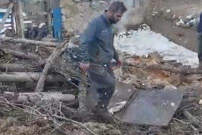 Başkale’de ahır çöktü: 20 küçükbaş hayvan göçük altında kaldı