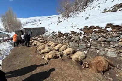 Başkale'de Ahır Yangını: 68 Hayvan Telef Oldu