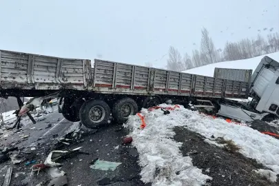Bitlis–Van yolunda katliam gibi kaza