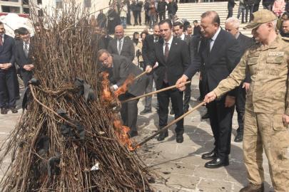 Bitlis’te Nevruz Bayramı coşkuyla kutlandı