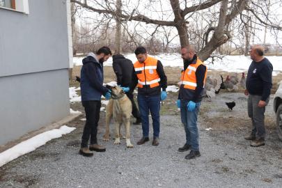 Edremit Belediyesi sahipsiz hayvanları sahiplendirilmeye başladı