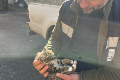Edremit’te çatıda mahsur kalan yavru kedi seferberliği