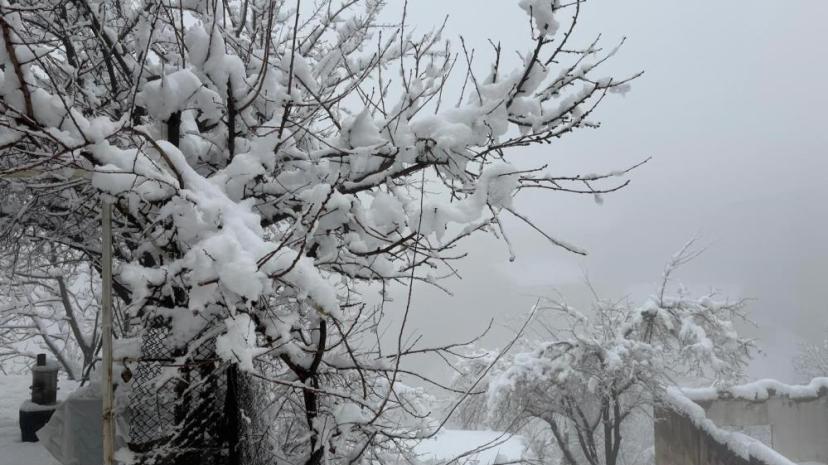 Hakkari’de 82 yerleşim yerinin yolu kapandı