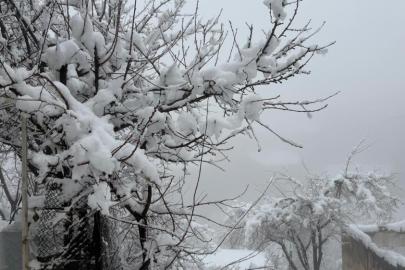 Hakkari’de 82 yerleşim yerinin yolu kapandı