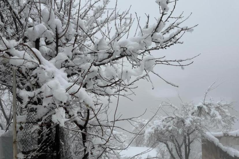 Hakkari’de 82 yerleşim yerinin yolu kapandı