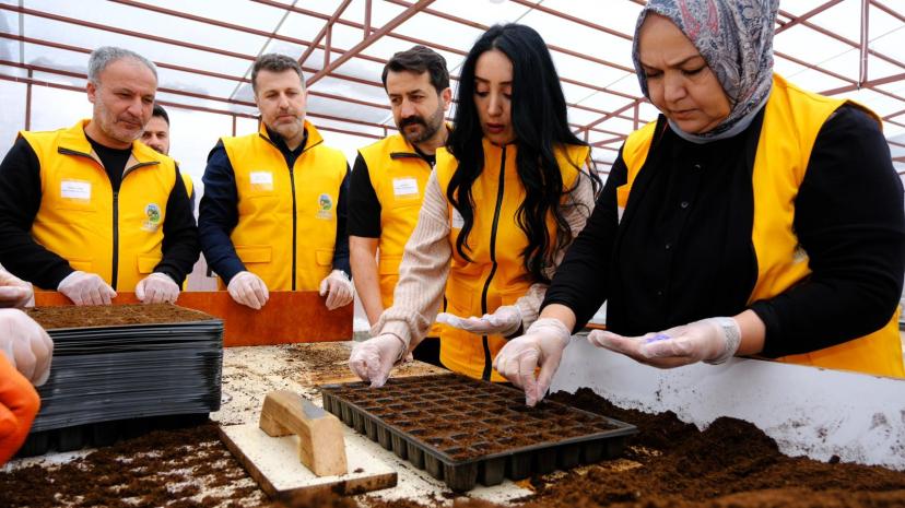 İpekyolu Belediyesi Fide Ekim Çalışmalarına Başladı