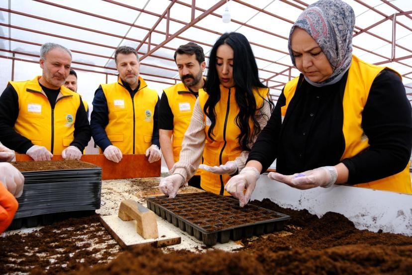 İpekyolu Belediyesi Fide Ekim Çalışmalarına Başladı