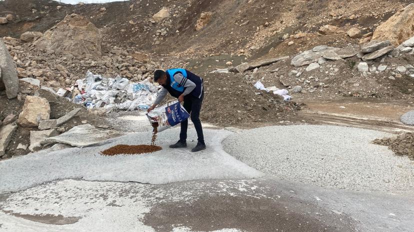 İpekyolu Belediyesi'nden sokak hayvanlarına sevgi eli