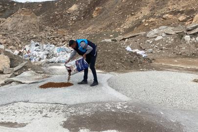İpekyolu Belediyesi'nden sokak hayvanlarına sevgi eli