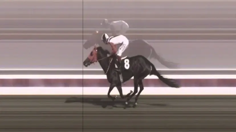 Mersin’de belediyenin aşevinde kavurmadan çıkan yarış atı: 3 birinciliği olan İngiliz 'Smart Latch'