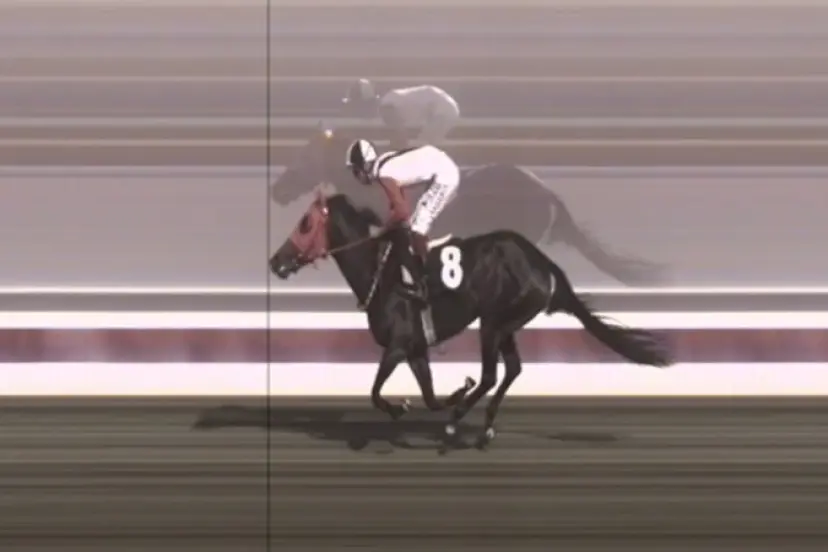 Mersin’de belediyenin aşevinde kavurmadan çıkan yarış atı: 3 birinciliği olan İngiliz 'Smart Latch'