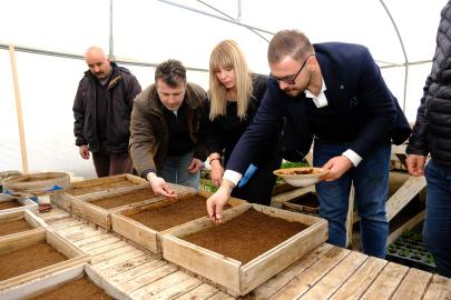 Seralarımızda Üretilen Çiçeklerle İpekyolu’nu Renklendiriyoruz