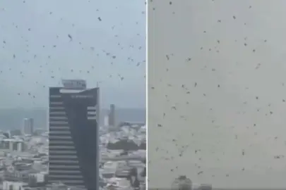 Tel Aviv’de gökyüzünü kargalar kapladı: Uğursuzluk saydılar