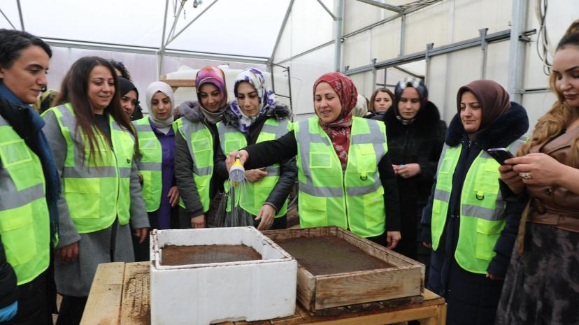 Tuşba’da Kadınlara Yönelik Tarımsal Üretim Çalışması