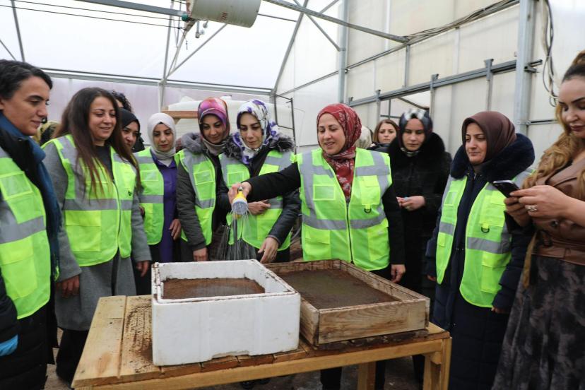 Tuşba’da Kadınlara Yönelik Tarımsal Üretim Çalışması