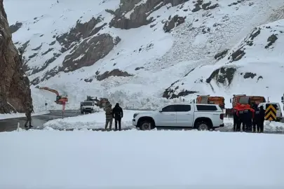 Van-Hakkari Yolu Çığ Nedeniyle Kapandı