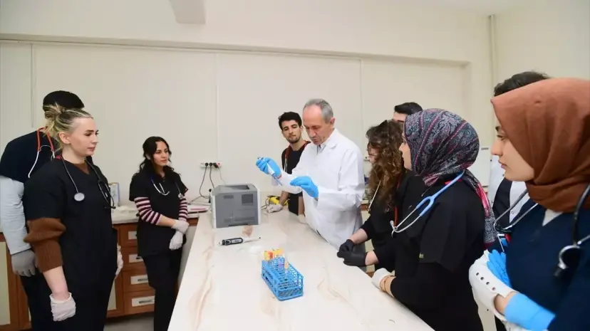 Van Kedisi Kan Grupları Araştırması