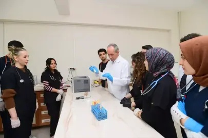 Van Kedisi Kan Grupları Araştırması