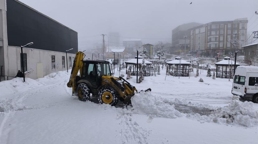 Van'da mart ayının sonunda kar yağışı